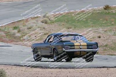 media/Mar-04-2023-West Coast Racing (Sat) [[a3f8e4c156]]/Green/Back Shots/